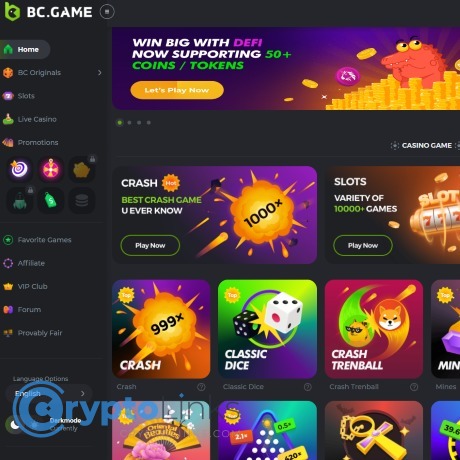 The Future of Online Gaming A Deep Dive into BC.Game